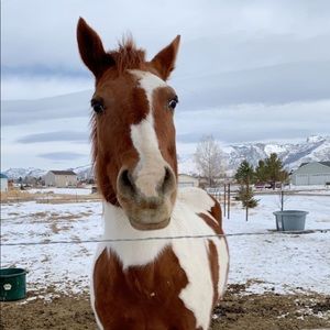 Meet your Posher, Taylor